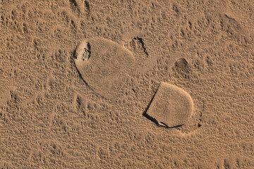 Texture of sand and earth, traces of human feet and shoes