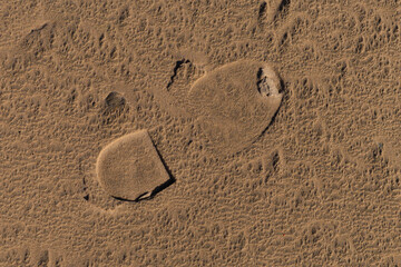 Texture of sand and earth, traces of human feet and shoes
