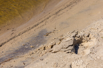 Texture of sand and earth, traces of human feet and shoes