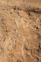 Texture of sand and earth, sand dunes and mountains