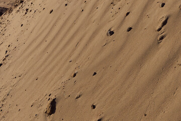 Texture of sand and earth, sand dunes and waves, traces of animals, birds and snakes on the sand