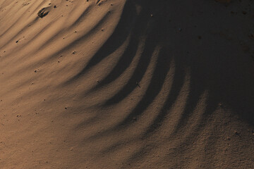 Texture of sand and earth, sand dunes and mountains © Tatiana