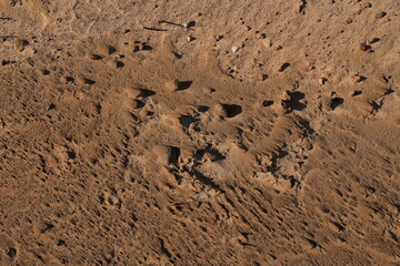 Texture of sand and earth, sand dunes and mountains