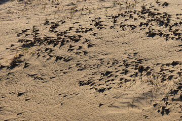 Texture of sand and earth, sand dunes and mountains