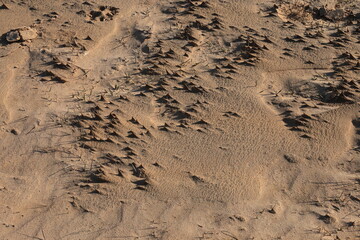 Texture of sand and earth, sand dunes and mountains