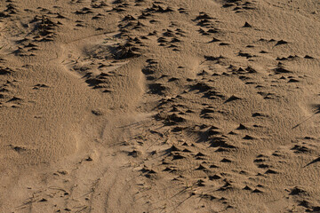 Texture of sand and earth, sand dunes and mountains