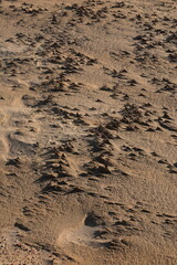 Texture of sand and earth, sand dunes and mountains