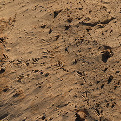 Texture of sand and earth, sand dunes and mountains