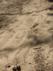 Texture of sand and earth, traces of human feet and shoes