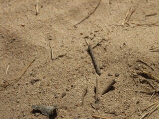 Texture of sand and earth, sand dunes and mountains