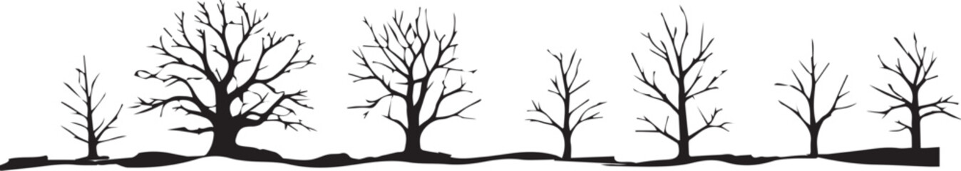 Bare deciduous trees silhouetted against white black and white