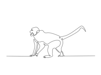 Wild monkey in single outline illustration. Continuous line art drawing of monkey.