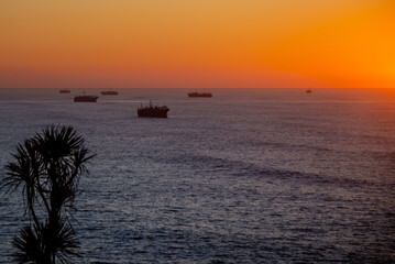 Squid boats anchored off the coast of Mar del Plata at dawn