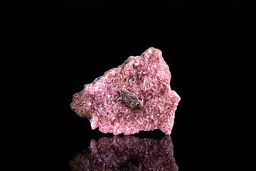Pink Rhodochrosite crystals. Specimen from N'Chwaning 2, South Africa. photography isolated on black background. macro detail close-up mineral crystal unpolished semi-precious gemstone.
