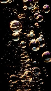 Floating Bubbles Illuminated Against Black Background Showing Transparency and Reflections