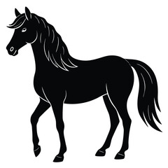 horse vector illustration