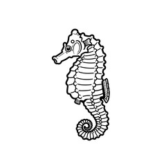 Outlined seahorse with curled tail on white background silhouette
