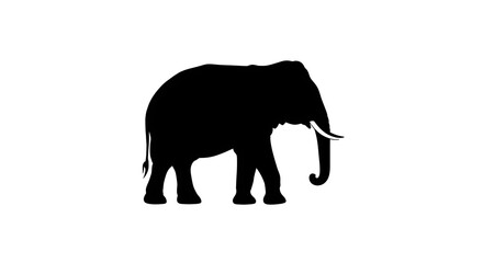 Fototapeta premium A striking black silhouette of an elephant isolated on a clean white background.