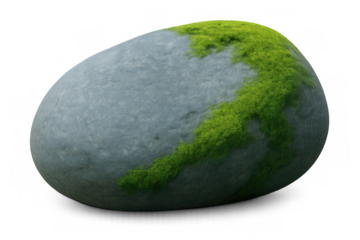 Realistic 3d rendering of grey elliptical river stone featuring green moss patches, isolated on transparent background