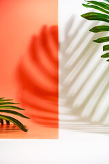 Cosmetics product advertising stand. White and pink background with with palm leaves and shadows. Empty place to display product packaging. Mockup