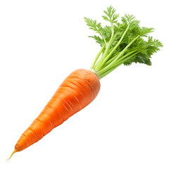 Fresh orange carrot with green leafy tops on black background isolated on a transparent background vegetable