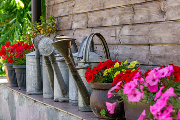 row of metal watering cans placed on a stone shelf in front of a wooden wall, surrounded by...