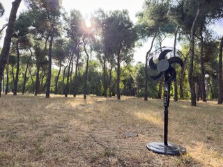 Electric fan outdoors with sunlight filtering through pine trees