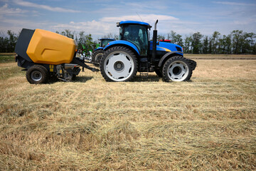 Fototapeta premium Mown ears of wheat lie on the ground in a field. Tractors and other agricultural machinery are in the background.