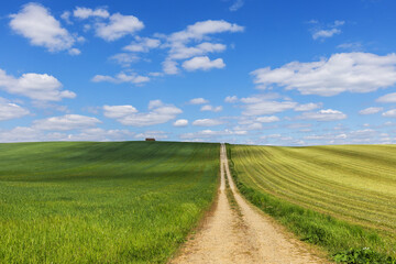 A narrow road between fields leading up a hill, in the background a beautiful blue sky with white clouds and stacks of straw standing in the field.