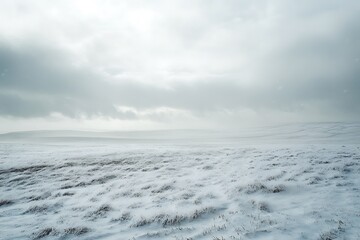 Serene Winter Landscape: Snow-Covered Field Under a Cloudy Sky