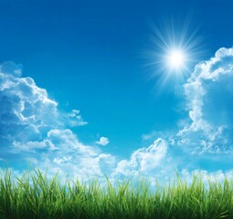 Obraz premium Vibrant Summer Landscape: Sunny Sky Over Lush Green Grass