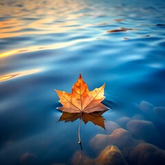 A solitary leaf floating on an endless river &mdash; journey of self-discovery.