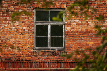 Close-up of a weathered wooden-framed window set in an old red brick wall, partially obscured by leafy green branches.