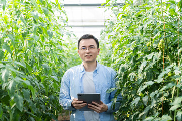 Young man farmer using digital tablet in tomato farm