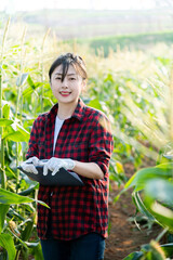 Woman farmer writing data in her corn field