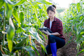 Woman farmer writing data in her corn field