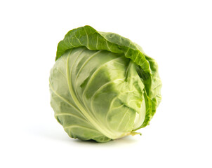 Obraz premium green cabbage isolated on white background