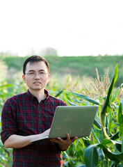 Young man farmer using laptop in corn field