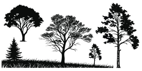 Silhouette Trees Set: Black and White Forest Landscape Vector Art