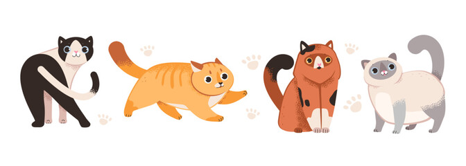 Obraz premium Cute playful cats set. Various felines isolated on white background. Flat vector illustration.