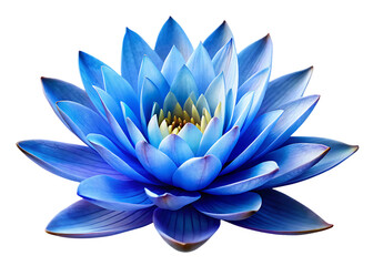 Vibrant blue lotus flower with detailed petals and yellow center isolated on a transparent background