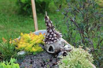 A whimsical fairy house made from pine cone sits among yellow stonecrop sedum acre, curly juncus effusus, and green foliage in a lush garden planter