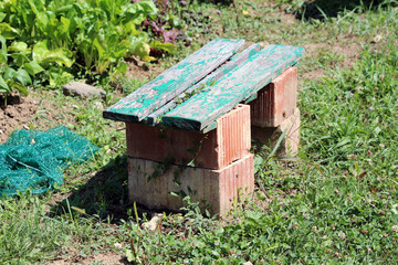 Fototapeta premium A handmade bench crafted from stacked bricks and old green-painted wood sits in a vegetable garden, surrounded by leafy chard beta vulgaris and wild grass