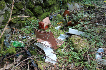 Discarded plastic bottles and broken chairs litter a mossy forest floor, surrounded by brambles,...