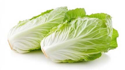 Fresh whole chinese cabbage isolated on a white background.