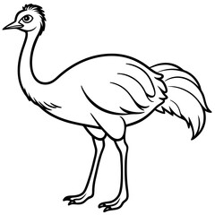 emu---round-body---long-neck-and-legs---small-beak.