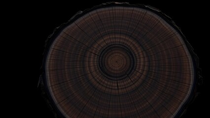 Obraz premium Tree Rings on Freshly Cut Tree Stump on black background