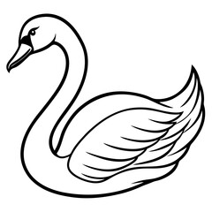 Fototapeta premium swan---curved-neck---wings-and-beak---soft-feather.