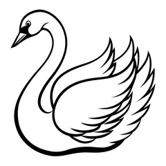 Obraz premium swan---curved-neck---wings-and-beak---soft-feather.