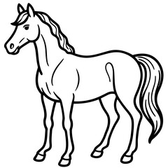 Obraz premium horse---neck-body---legs-and-mane---finalize-featu